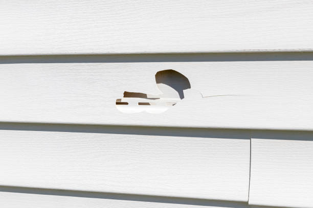 Best Same-Day Junk Removal Services  in Newton, AL